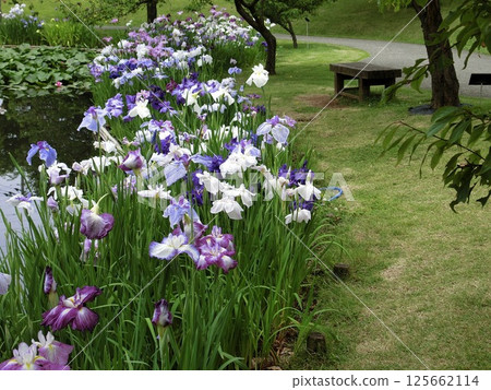 花綻放 花綻放 125662114