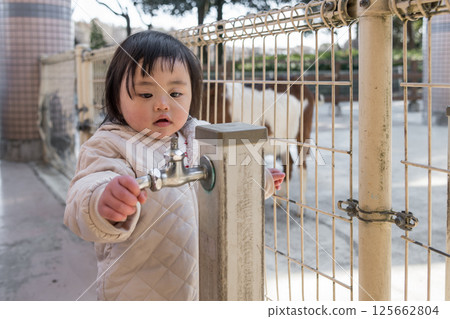 [A one-year-old child looking at goats at the animal play area in Sagamihara City Asamizo Park] 125662804