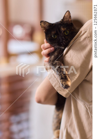 A Charming Cat, Comfortably Held in Hands, Showcasing Its Striking Eyes A Charming Cat, Comfortably Held in Hands, Showcasing Its Striking Eyes 125662871