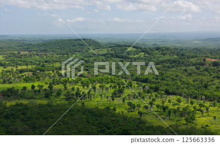 Green natural landscape aerial view Green natural landscape aerial view 125663336