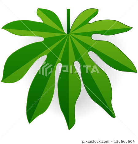 Green tropical palm leaf vector herbal icon 125663604