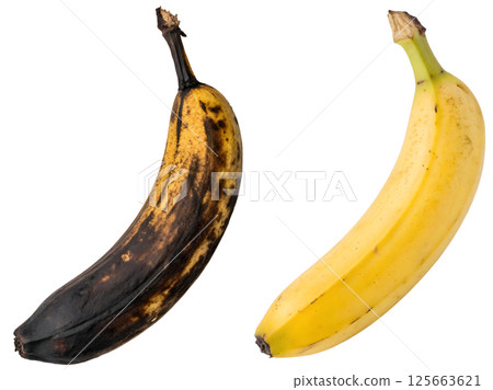 Comparison of overripe banana and fresh ripe banana isolated on the transparent background 125663621