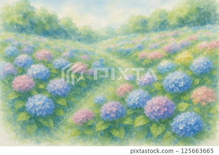 繡球 繡球 125663665