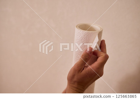 Approaching the Task of Applying Wallpaper with Care for a Beautiful and Stunning Interior 125663865