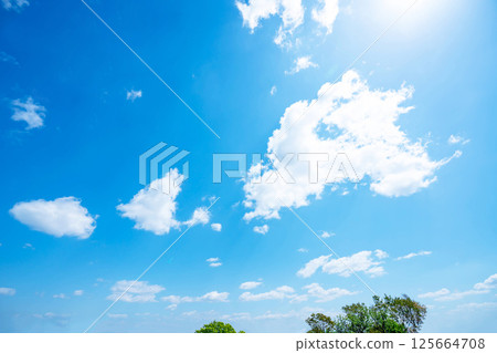 Blue sky, clouds and grove 125664708