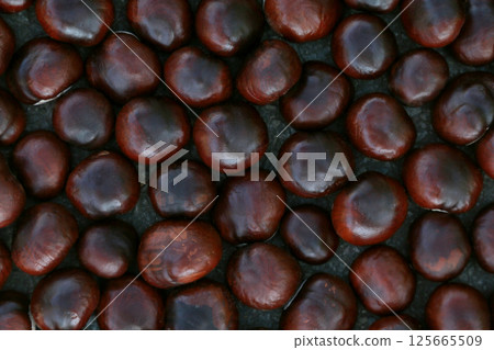 Background of red-brown chestnut fruits laid out on the asphalt 125665509