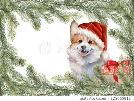 Corgi dog in Santa hat, peeking through a frame of pine branches, hand drawn illustration, perfect for holiday greetings. 125665912
