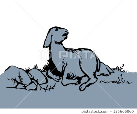 Vector drawing. The sheep got lost in the field 125666060
