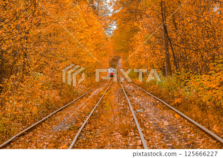 Autumn forest through which the tram travels, Kyiv and rails Autumn forest through which the tram travels, Kyiv and rails 125666227