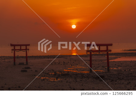 日出時分的奧古斯神社水下鳥居 125666295