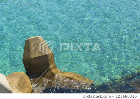 高濱海灘的清澈海水和四足動物 125666310