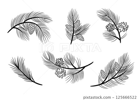 Pine branches, pine needles, cones. Set of vector elements in sketch style for the design of holiday cards, patterns, banners. Pine branches, pine needles, cones. Set of vector elements in sketch style for the design of holiday cards, patterns, banners. 125666522