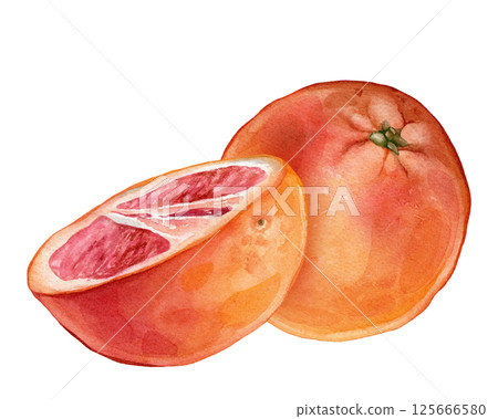 Composition with slice and whole Grapefruit. Hand drawn watercolor illustration of orange tropical citrus fruit on white isolated background. Half grapefruit 125666580