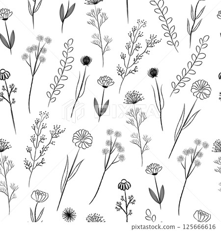 Wild field flowers and herbs seamless pattern. Doodle brush style on white background. Hand drawn black crayon elements set. 125666616