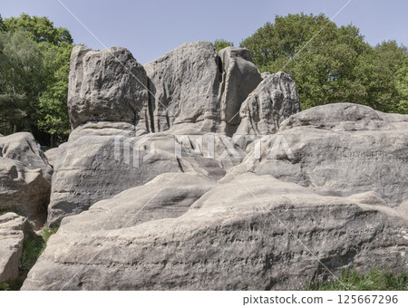 An unusual outcrop of natural sandstone rocks on Wellington Rocks. 125667296