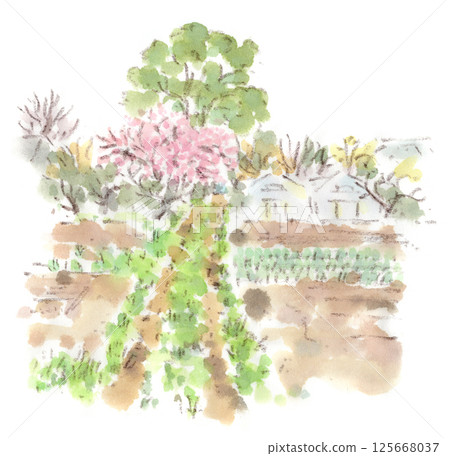 Spring field landscape watercolor illustration 125668037
