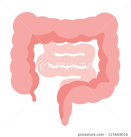 Illustration of a normal intestine 125669016