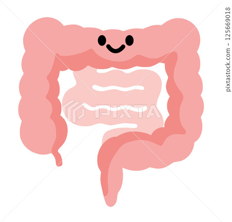 Smiling illustration of a normal intestine 125669018
