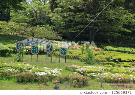 昭和之森公園入口:千葉縣千葉市 昭和之森公園入口:千葉縣千葉市 125669371