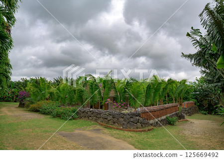 石垣島上一棟紅瓦房屋,周圍環繞著搖曳的棕櫚樹和石牆 石垣島上一棟紅瓦房屋,周圍環繞著搖曳的棕櫚樹和石牆 125669492