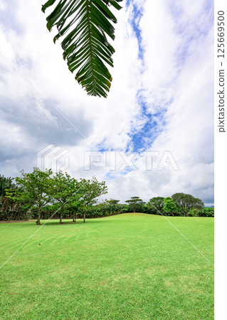 石垣島上被熱帶植物環繞的廣場 石垣島上被熱帶植物環繞的廣場 125669500