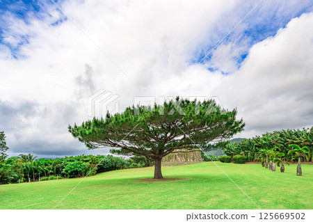 The relaxing and open scenery of Ishigaki Island The relaxing and open scenery of Ishigaki Island 125669502