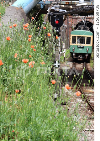 江之島電鐵列車從極樂寺站出發 江之島電鐵列車從極樂寺站出發 125669738