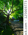 Temple approach surrounded by fresh greenery 2 125669773
