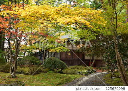 The gardens of Koyasan Reihokan Museum enveloped in autumn leaves The gardens of Koyasan Reihokan Museum enveloped in autumn leaves 125670096