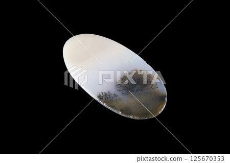 Dendritic Agate A stone that harbors landscapes 125670353