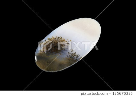 Dendritic Agate A stone that harbors landscapes 125670355