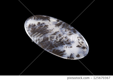 Dendritic Agate A stone that harbors landscapes 125670367