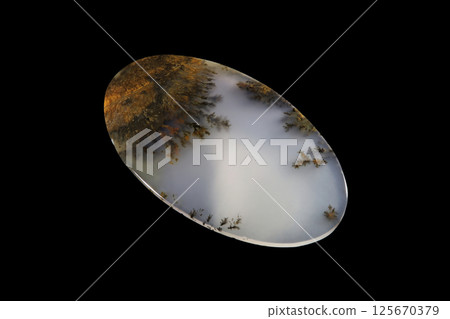 Dendritic Agate A stone that harbors landscapes 125670379