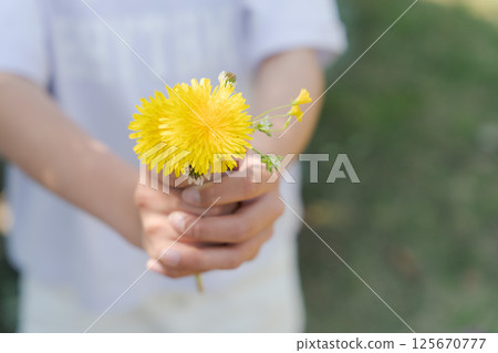 Girl's hand holding a dandelion Girl's hand holding a dandelion 125670777