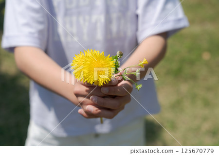 Girl's hand holding a dandelion Girl's hand holding a dandelion 125670779