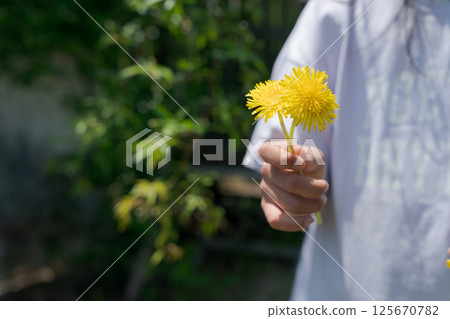 女孩的手拿著一朵蒲公英 女孩的手拿著一朵蒲公英 125670782
