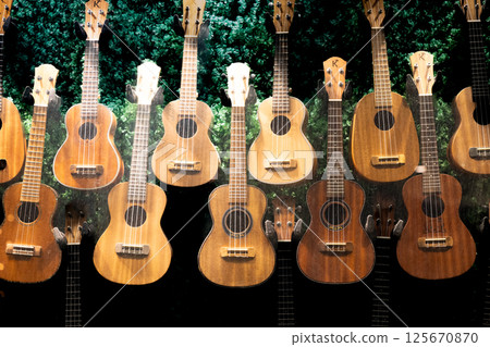 夏威夷節日尤克里裡展示 125670870