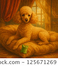 欺騙玩具貴賓犬 125671269