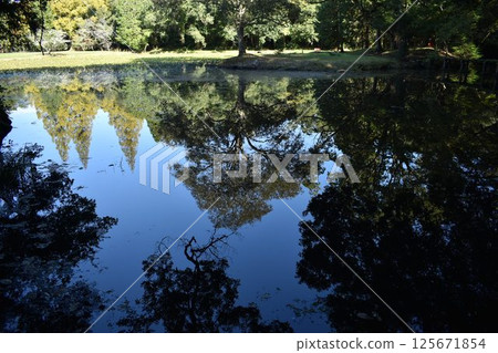Diamond Pond at Usa Shrine Diamond Pond at Usa Shrine 125671854