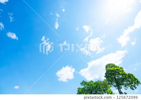 藍天，白雲和樹林 125672099