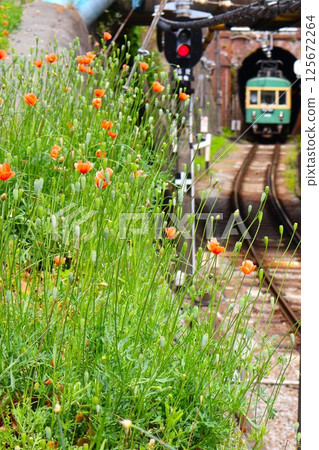 Enoshima Electric Railway train heading towards Gokurakudo from Gokurakuji Station 125672264