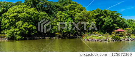 大村公園：櫻田護城河全景，綠意盎然 [長崎縣大村市] 125672369