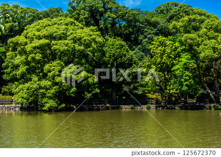 大村公園：櫻田之堀，綠意盎然的護城河【長崎縣大村市】 125672370
