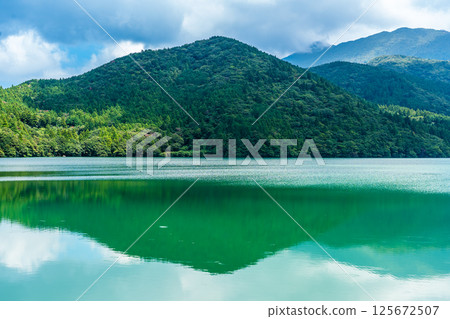 Fresh greenery at Oshidori Pond [Unzen City, Nagasaki Prefecture] 125672507