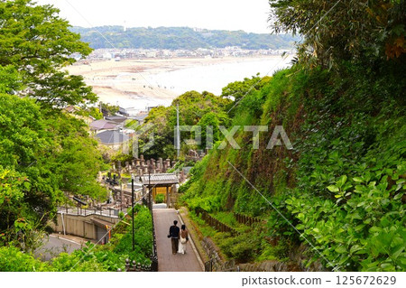 View of Yuigahama Beach from Jojuin Temple View of Yuigahama Beach from Jojuin Temple 125672629