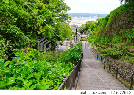 View of Yuigahama Beach from the approach to Jojuin Temple View of Yuigahama Beach from the approach to Jojuin Temple 125672630