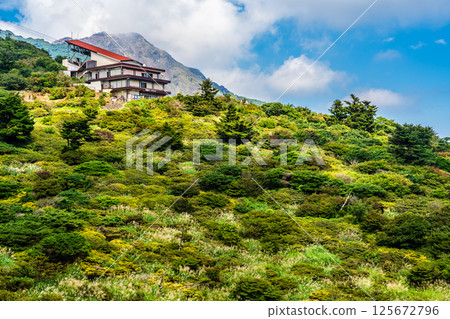 Fresh greenery at Nita Pass [Unzen City, Nagasaki Prefecture] 125672796