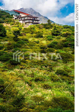 Fresh greenery at Nita Pass [Unzen City, Nagasaki Prefecture] 125672797