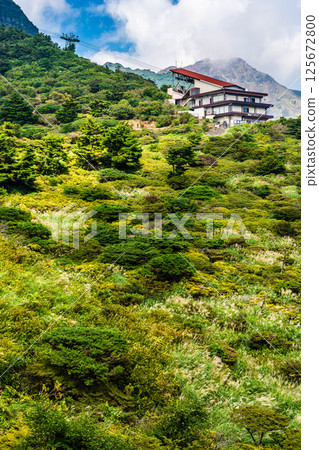仁田嶺的新綠[長崎縣雲仙市] 125672800