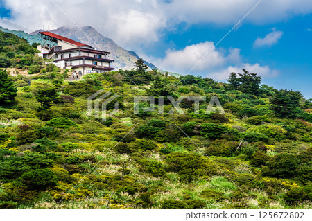 Fresh greenery at Nita Pass [Unzen City, Nagasaki Prefecture] 125672802